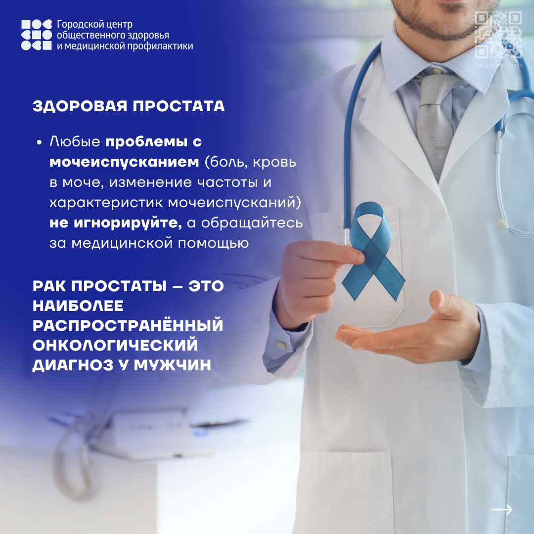Здоровая_простата.png