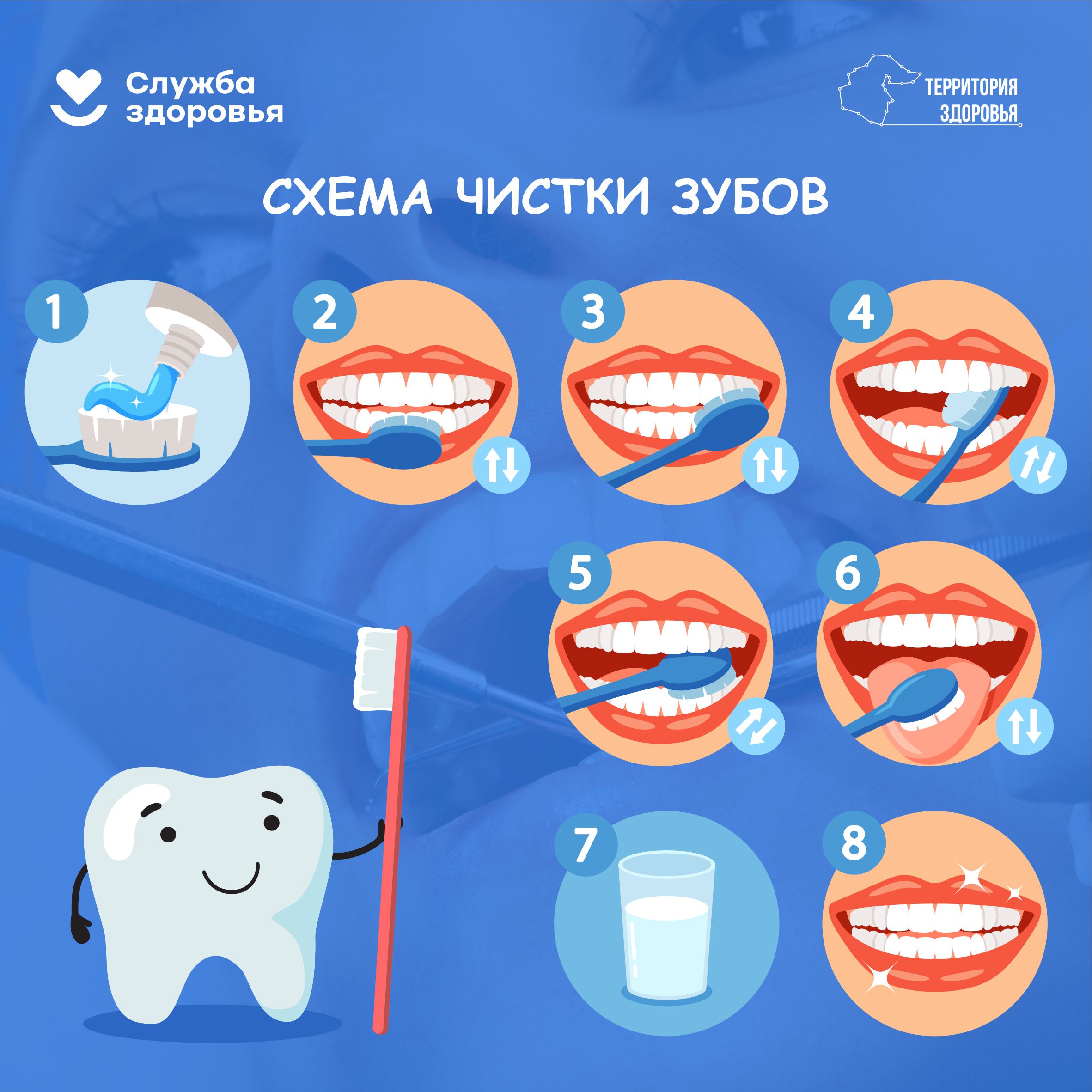 Схема_чистки_зубов.jpg