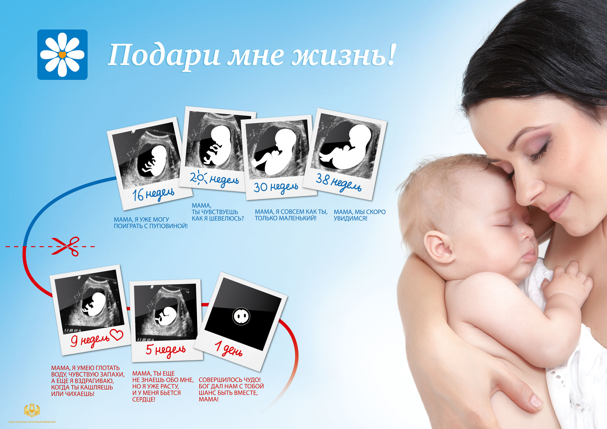 1.подари_мне_жизнь.jpg