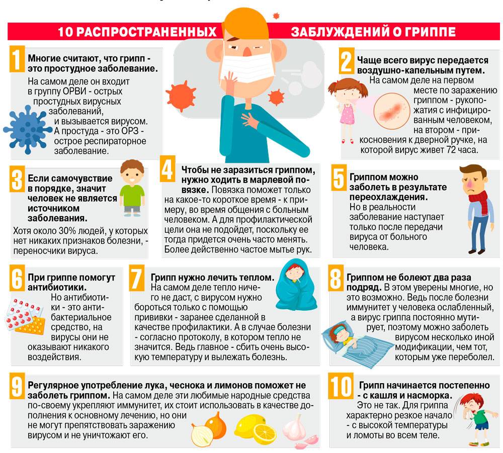 10_заблуждений_о_гриппе.jpeg