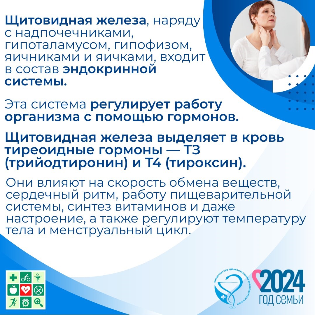 2.3_odfshjpiufghrgt04537thygr97qhrg.jpg