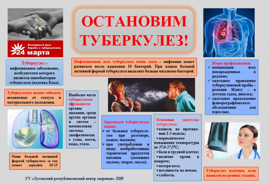 c2be3493ce42ee658842d93c6d54529d XL