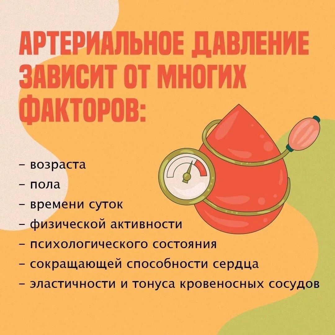 Артериальное_давление_зависит_от_многих_факторов.jpg
