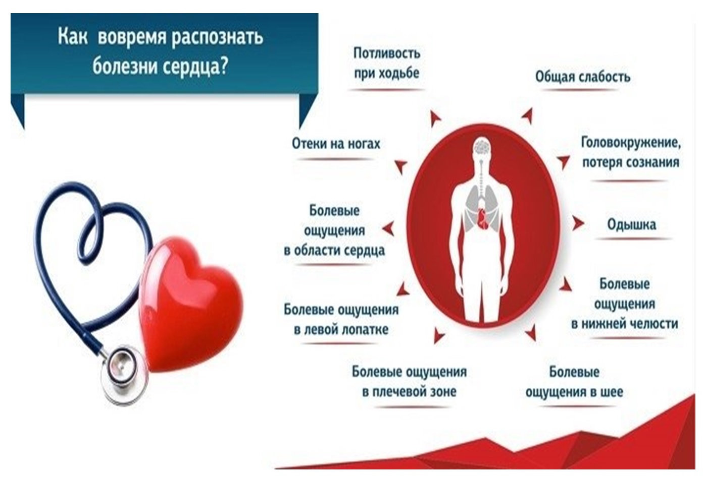 Как_вовремя_распознать_болени_сердца.jpg