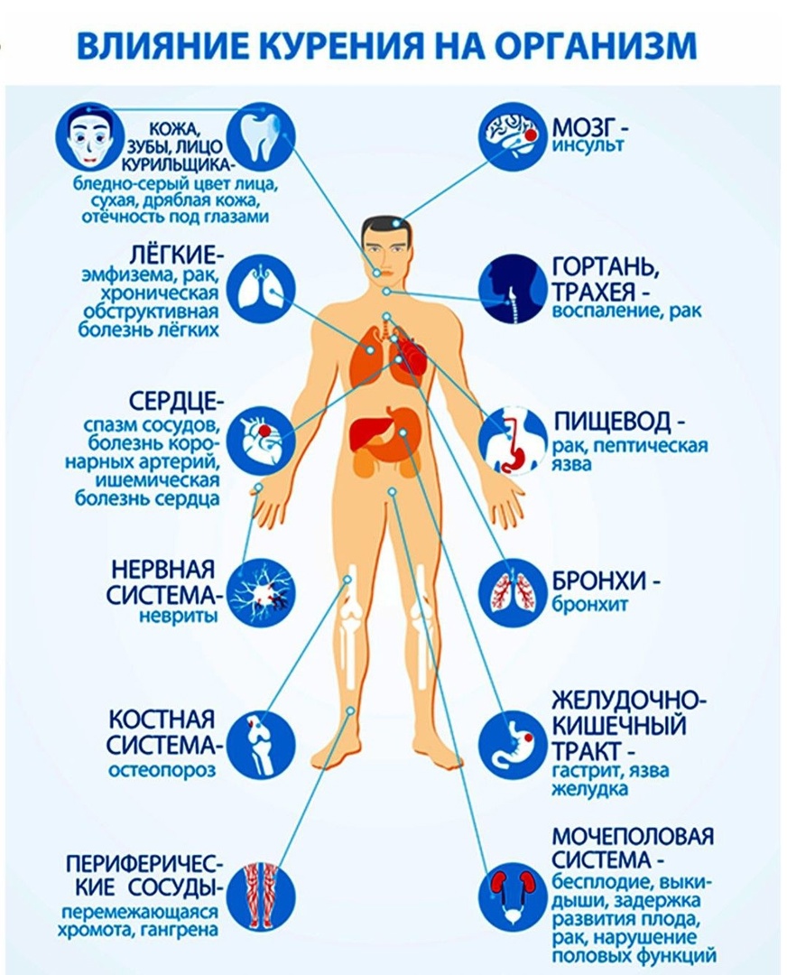 Курен.jpg