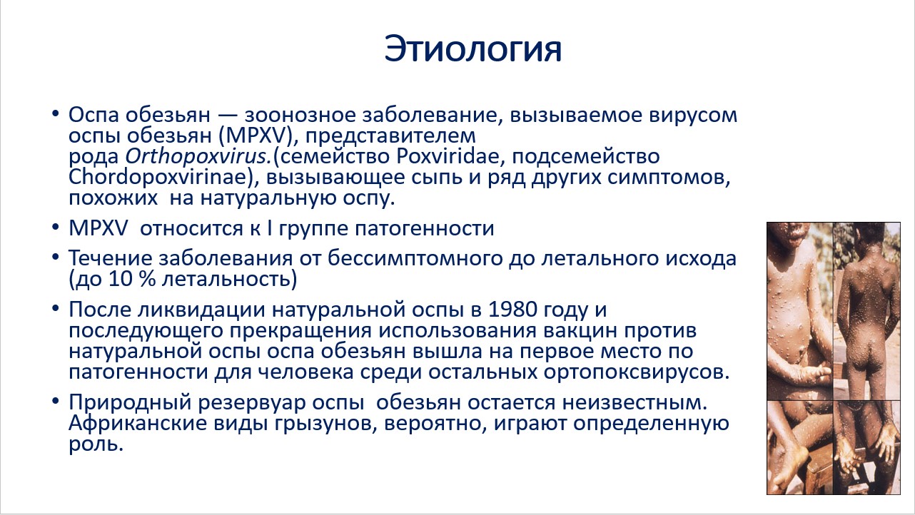 Снимок экрана 2022 07 08 121256