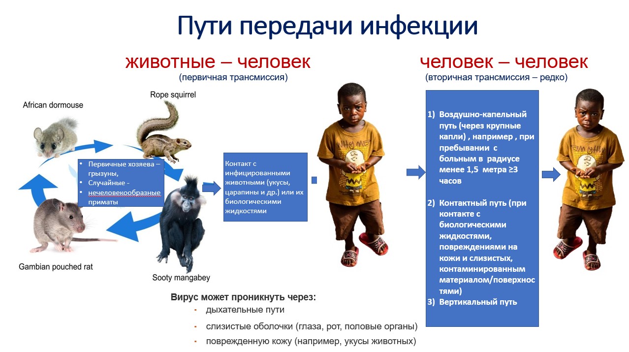 Снимок экрана 2022 07 08 121256