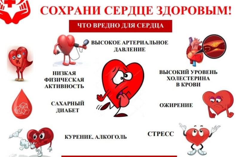 Что_вредно_для_сердца.jpg