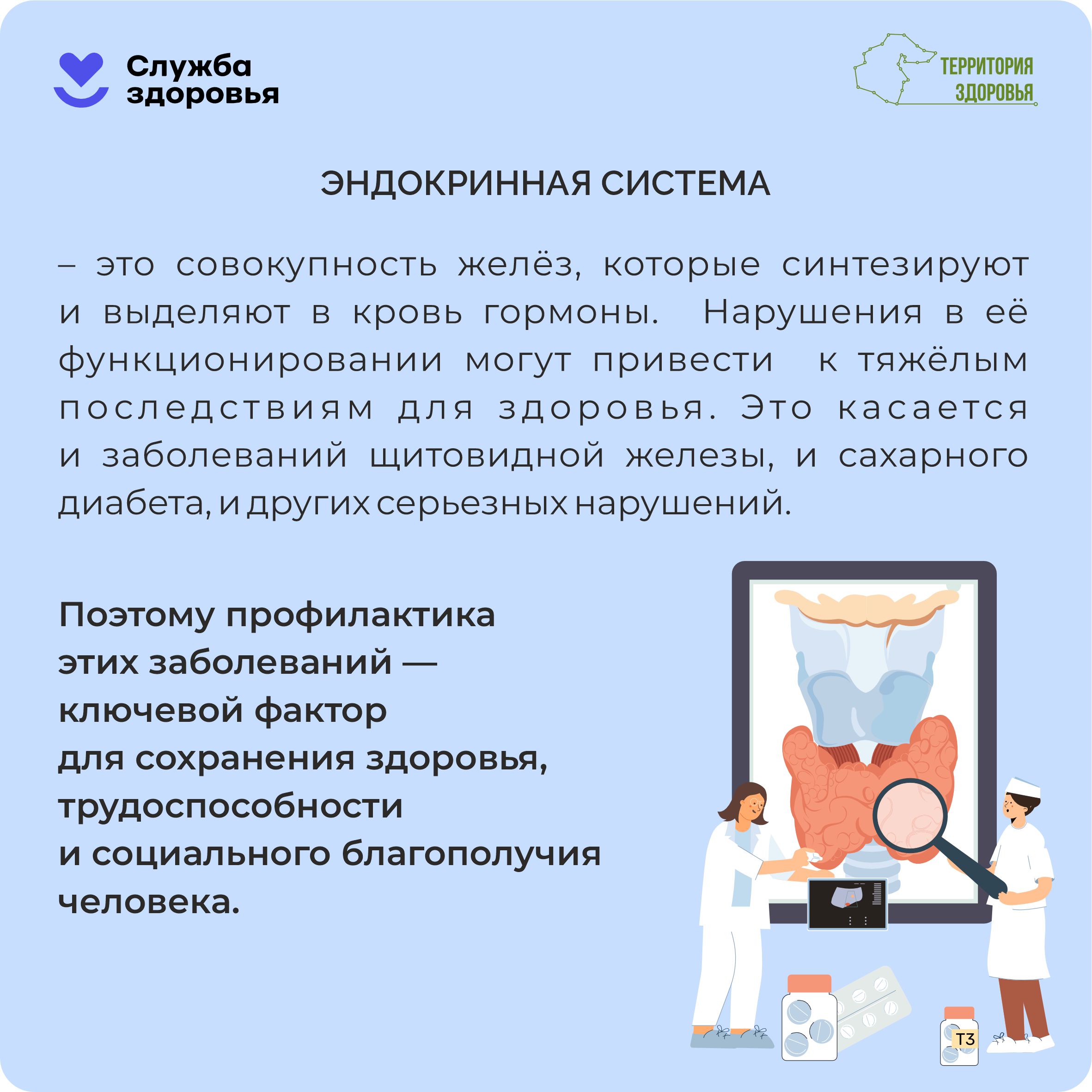 Эндокринная_система.jpg