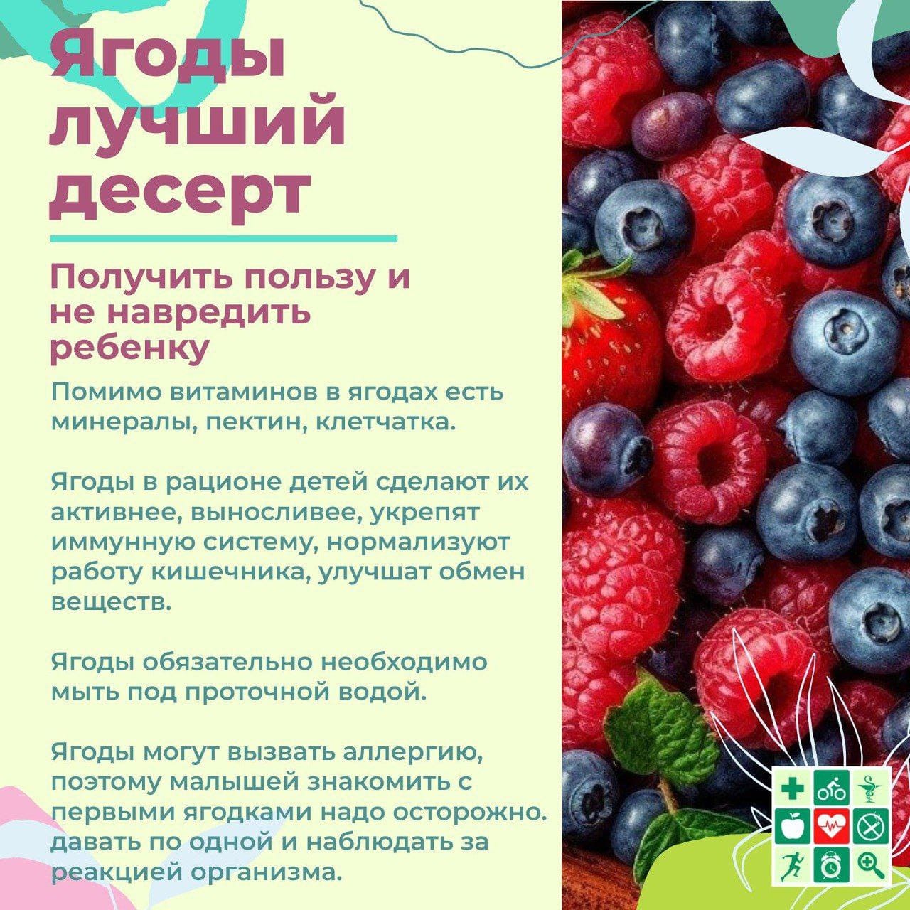 Ягоды.jpg