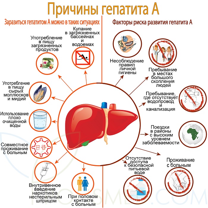 гепатит_А.jpg