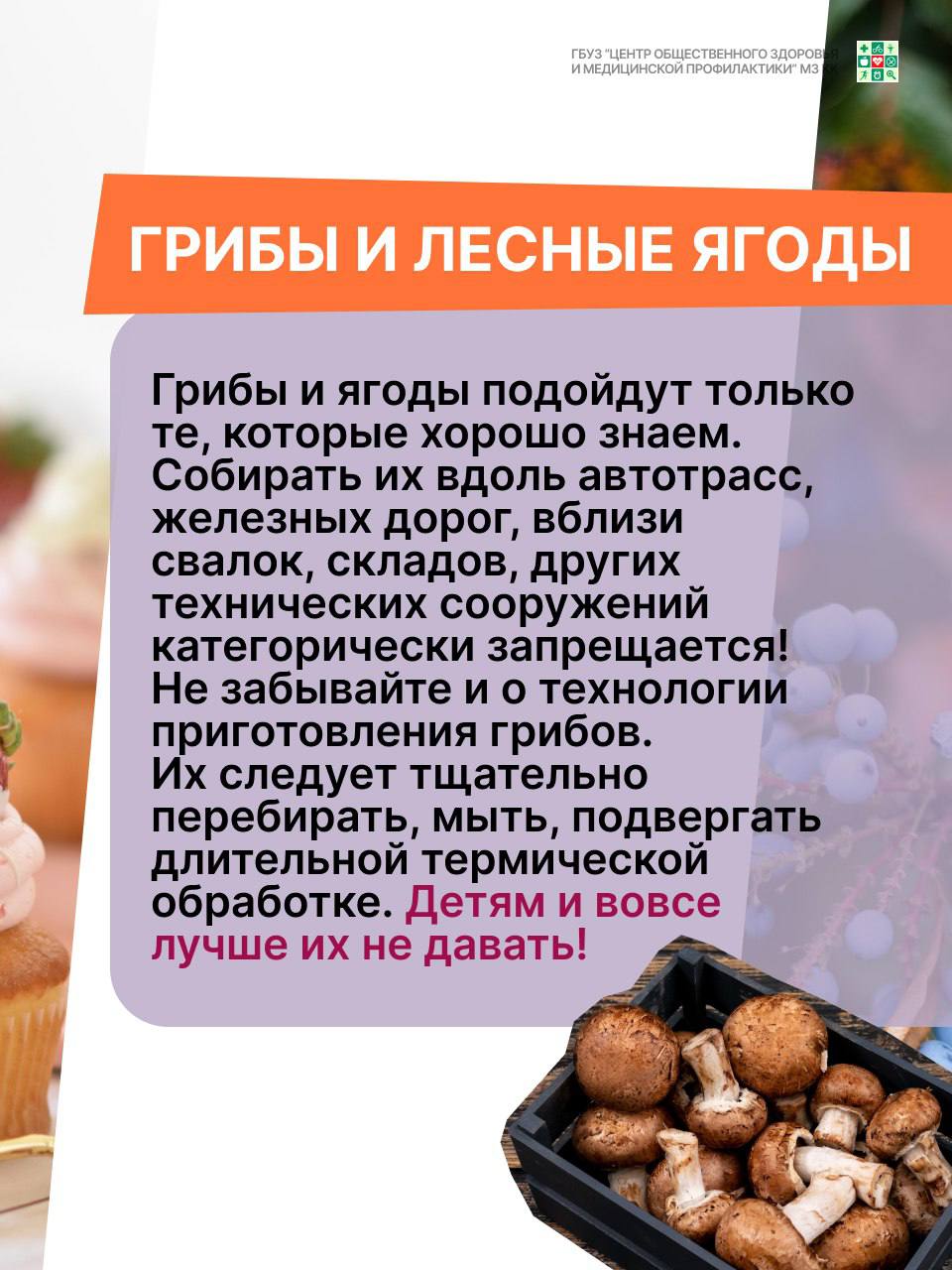 грибы.jpg