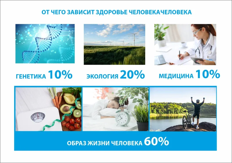от_чего_зависит_здоровье_человека.webp