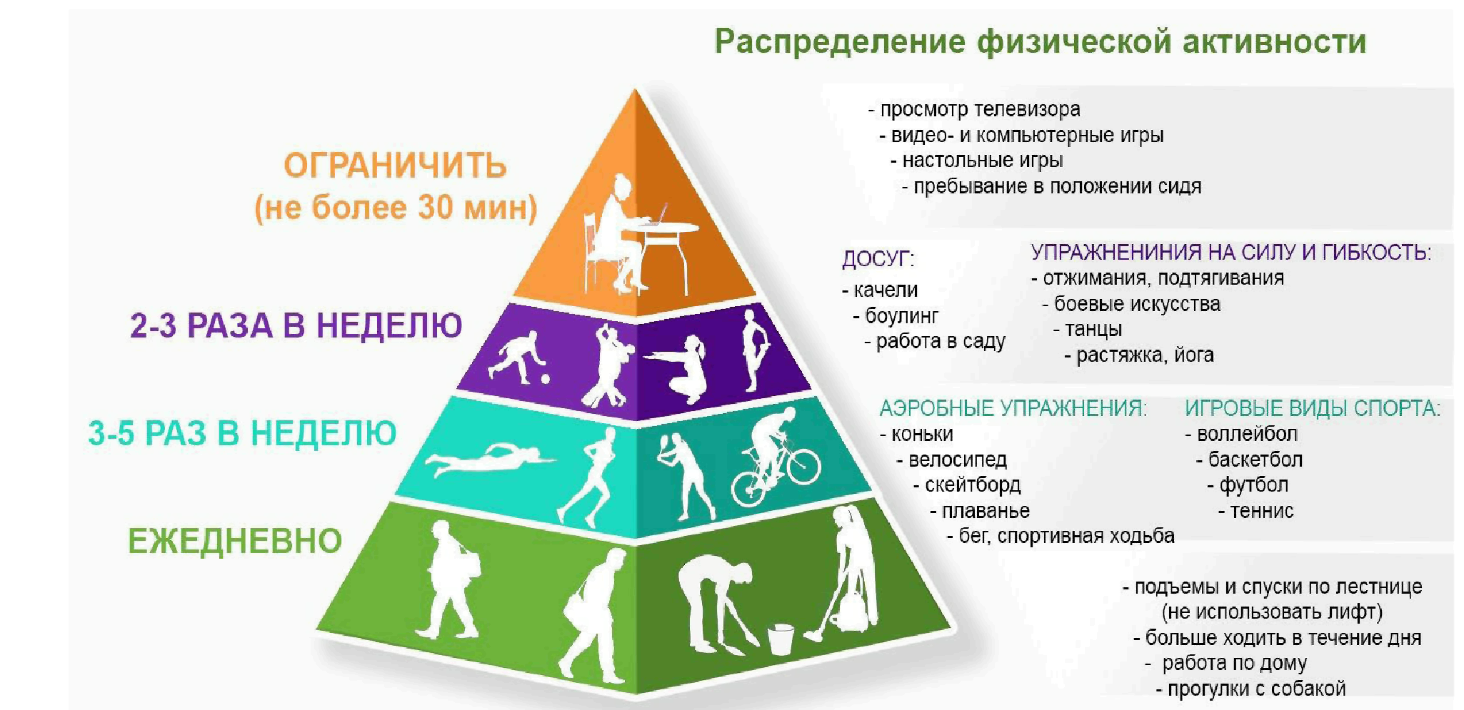 распределение_физической_активности.png