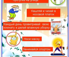 detprofgr